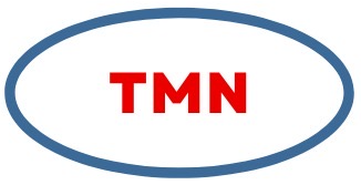 TMN International Pte., Ltd