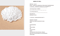 Our Product